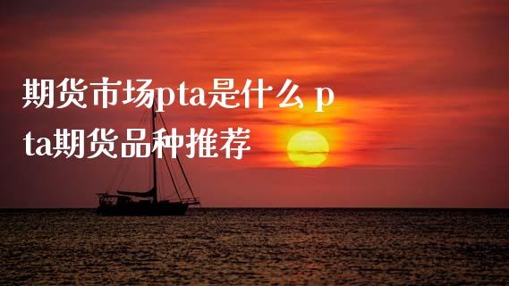 期货市场pta是什么 pta期货品种推荐_https://www.boyangwujin.com_期货直播间_第1张