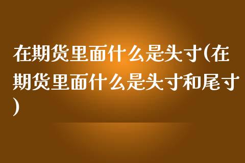 在期货里面什么是头寸(在期货里面什么是头寸和尾寸)_https://www.boyangwujin.com_期货直播间_第1张