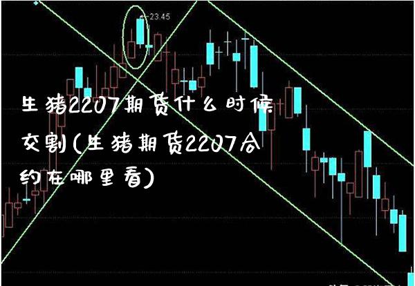 生猪2207期货什么时候交割(生猪期货2207合约在哪里看)