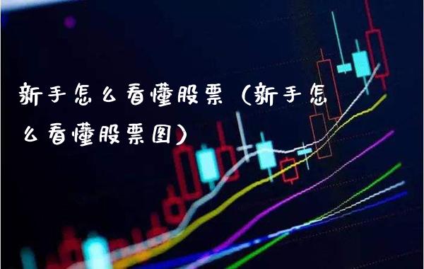 新手怎么看懂股票（新手怎么看懂股票图）_https://www.boyangwujin.com_原油期货_第1张