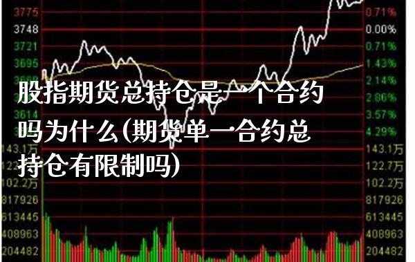 股指期货总持仓是一个合约吗为什么(期货单一合约总持仓有限制吗)