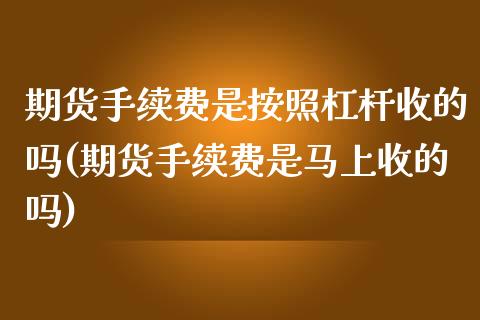 期货手续费是按照杠杆收的吗(期货手续费是马上收的吗)