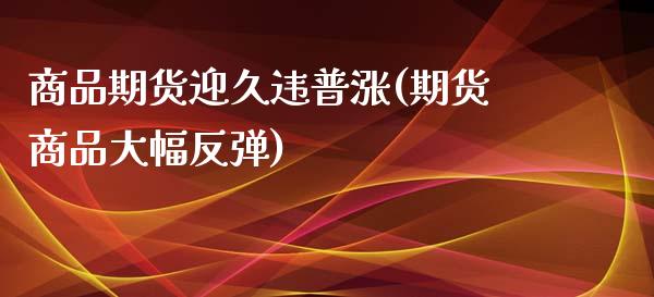 商品期货迎久违普涨(期货商品大幅反弹)_https://www.boyangwujin.com_期货科普_第1张