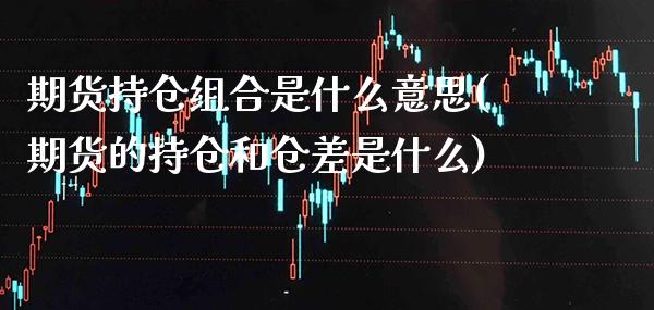 期货持仓组合是什么意思(期货的持仓和仓差是什么)_https://www.boyangwujin.com_恒指期货_第1张