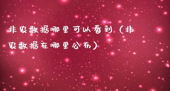 非农数据哪里可以看到（非农数据在哪里公布）