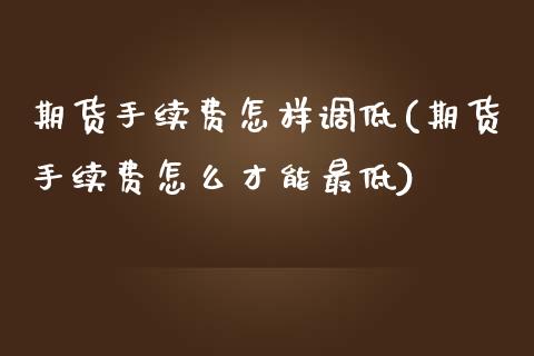 期货手续费怎样调低(期货手续费怎么才能最低)