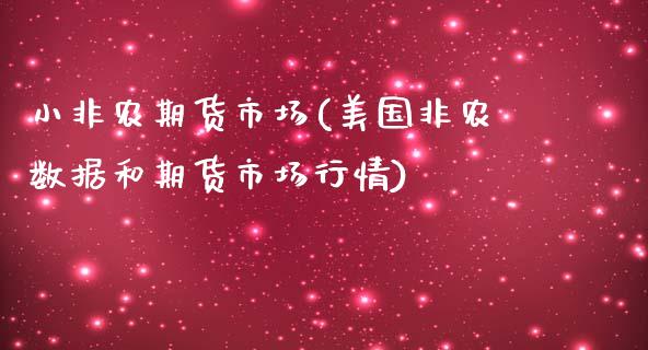 小非农期货市场(美国非农数据和期货市场行情)