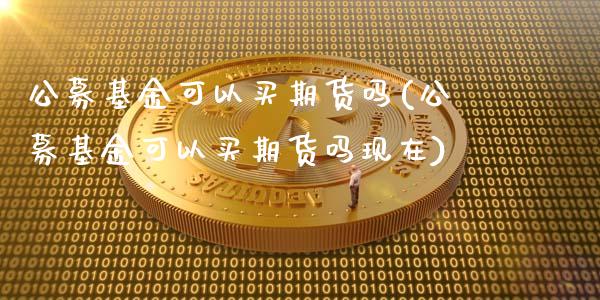 公募基金可以买期货吗(公募基金可以买期货吗现在)