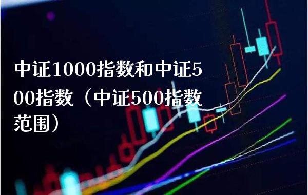 中证1000指数和中证500指数（中证500指数范围）