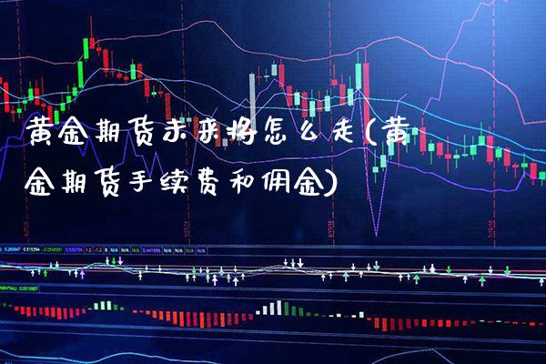 黄金期货未来将怎么走(黄金期货手续费和佣金)