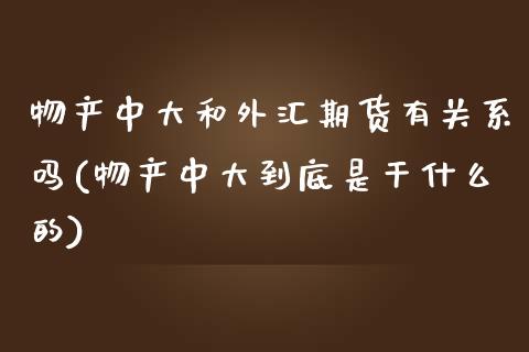 物产中大和外汇期货有关系吗(物产中大到底是干什么的)