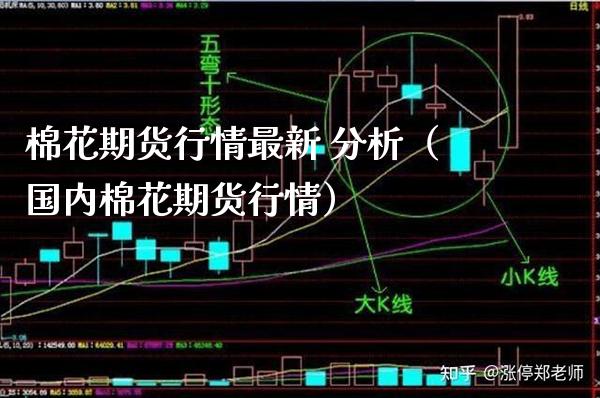 棉花期货行情最新 分析（国内棉花期货行情）