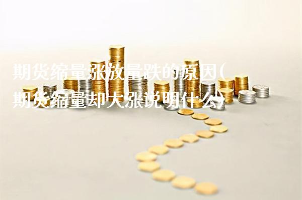 期货缩量涨放量跌的原因(期货缩量却大涨说明什么)