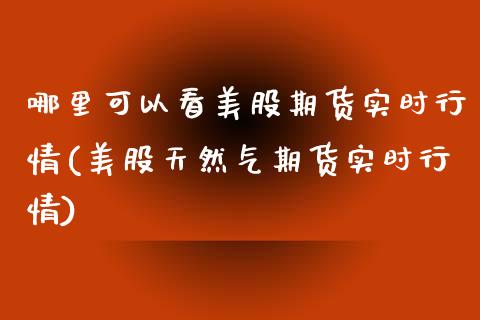 哪里可以看美股期货实时行情(美股天然气期货实时行情)