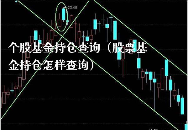 个股基金持仓查询（股票基金持仓怎样查询）