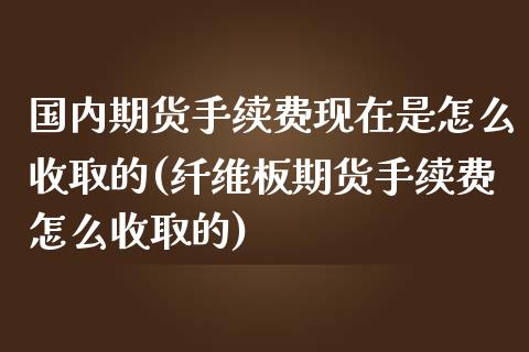 国内期货手续费现在是怎么收取的(纤维板期货手续费怎么收取的)