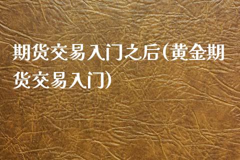 期货交易入门之后(黄金期货交易入门)