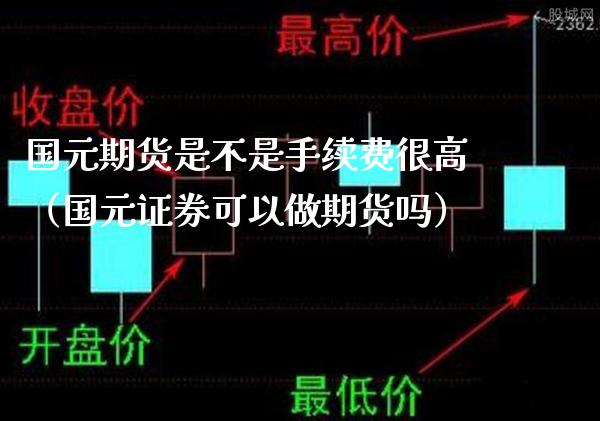 国元期货是不是手续费很高（国元证券可以做期货吗）