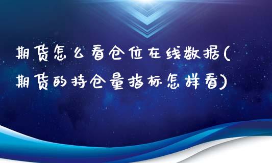 期货怎么看仓位在线数据(期货的持仓量指标怎样看)