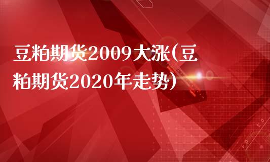 豆粕期货2009大涨(豆粕期货2020年走势)_https://www.boyangwujin.com_期货直播间_第1张