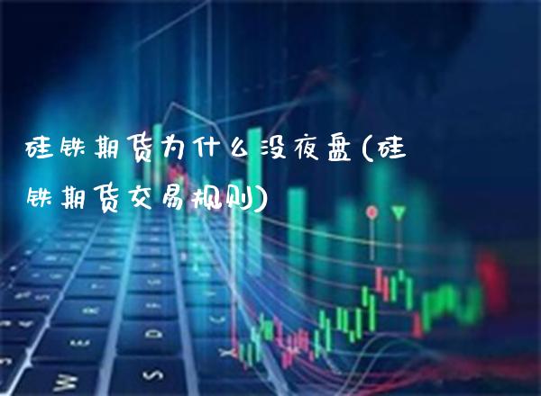 硅铁期货为什么没夜盘(硅铁期货交易规则)_https://www.boyangwujin.com_黄金直播间_第1张