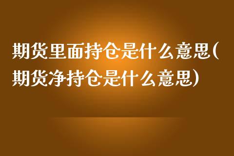 期货里面持仓是什么意思(期货净持仓是什么意思)