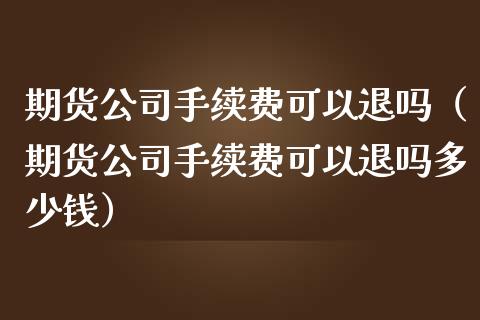 期货公司手续费可以退吗（期货公司手续费可以退吗多少钱）_https://www.boyangwujin.com_期货直播间_第1张