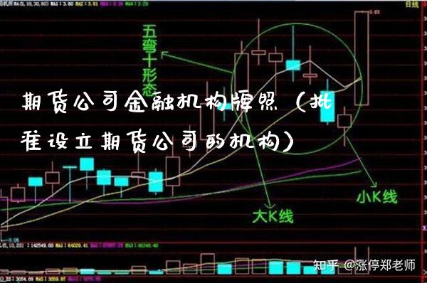 期货公司金融机构牌照（批准设立期货公司的机构）