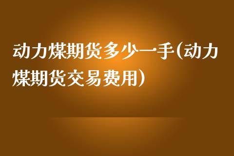 动力煤期货多少一手(动力煤期货交易费用)