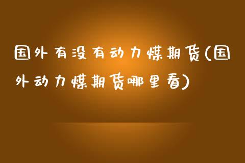 国外有没有动力煤期货(国外动力煤期货哪里看)