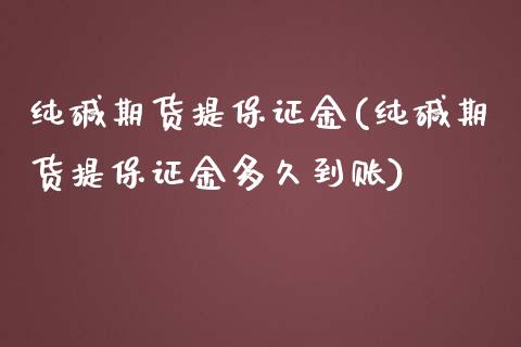 纯碱期货提保证金(纯碱期货提保证金多久到账)