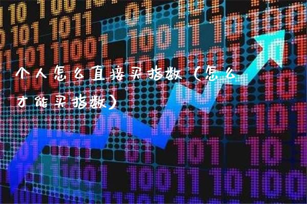 个人怎么直接买指数（怎么才能买指数）_https://www.boyangwujin.com_纳指期货_第1张