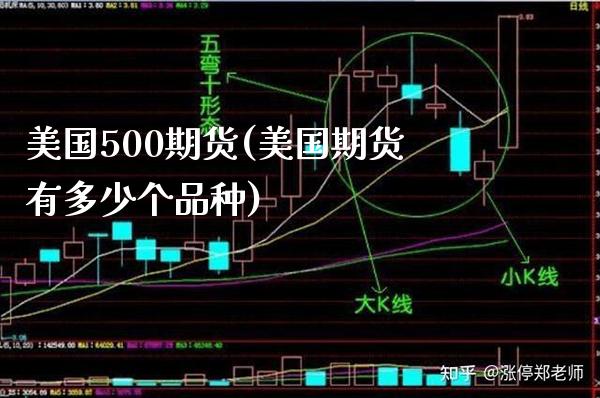 美国500期货(美国期货有多少个品种)