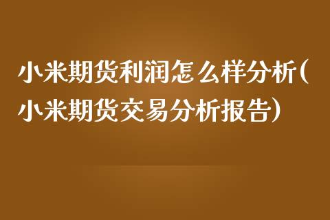 小米期货利润怎么样分析(小米期货交易分析报告)