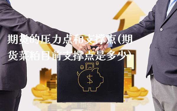 期货的压力点和支撑点(期货菜粕目前支撑点是多少)_https://www.boyangwujin.com_黄金直播间_第1张