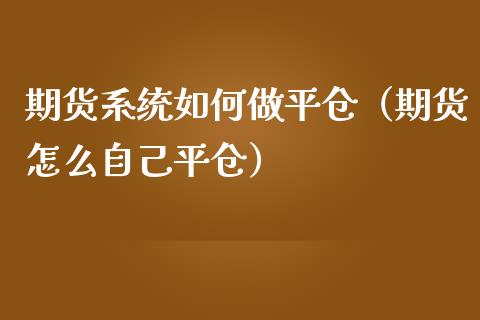 期货系统如何做平仓（期货怎么自己平仓）