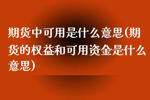 期货中可用是什么意思(期货的权益和可用资金是什么意思)_https://www.boyangwujin.com_期货直播间_第1张