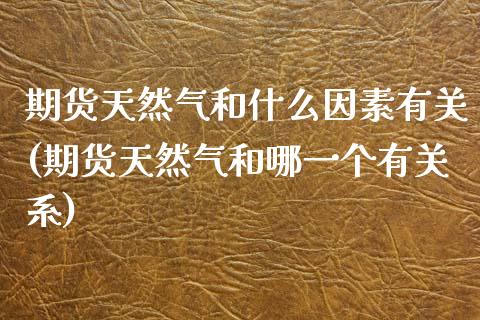 期货天然气和什么因素有关(期货天然气和哪一个有关系)_https://www.boyangwujin.com_期货直播间_第1张