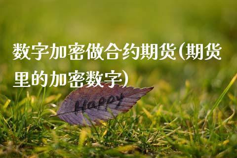 数字加密做合约期货(期货里的加密数字)_https://www.boyangwujin.com_道指期货_第1张