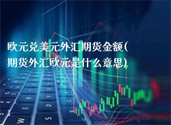 欧元兑美元外汇期货金额(期货外汇欧元是什么意思)