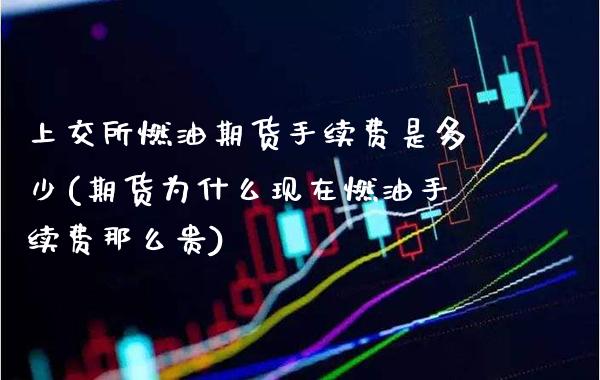 上交所燃油期货手续费是多少(期货为什么现在燃油手续费那么贵)