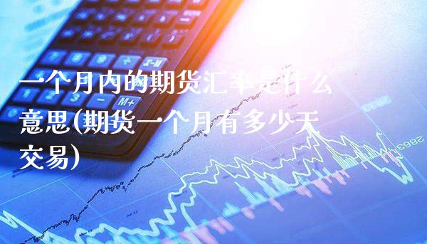 一个月内的期货汇率是什么意思(期货一个月有多少天交易)