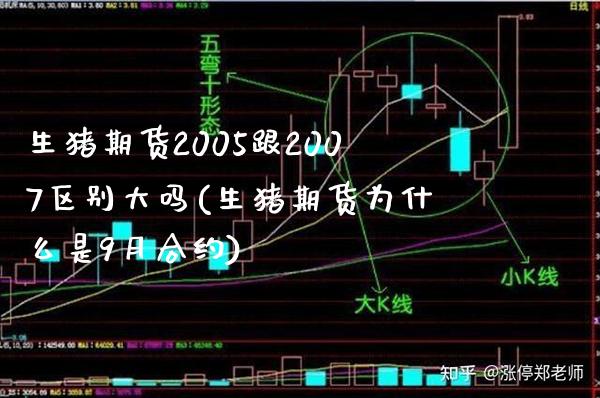 生猪期货2005跟2007区别大吗(生猪期货为什么是9月合约)_https://www.boyangwujin.com_期货直播间_第1张