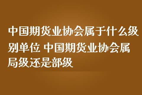 中国期货业协会属于什么级别单位 中国期货业协会属局级还是部级_https://www.boyangwujin.com_期货直播间_第1张