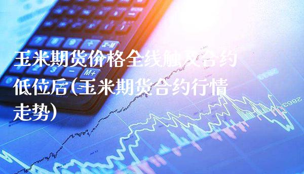 玉米期货价格全线触及合约低位后(玉米期货合约行情走势)_https://www.boyangwujin.com_黄金期货_第1张