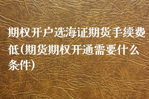 期权开户选海证期货手续费低(期货期权开通需要什么条件)_https://www.boyangwujin.com_白银期货_第1张