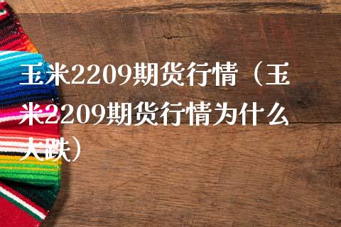 玉米2209期货行情（玉米2209期货行情为什么大跌）