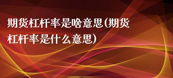 期货杠杆率是啥意思(期货杠杆率是什么意思)