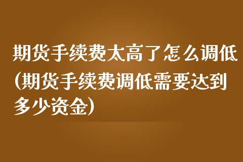 期货手续费太高了怎么调低(期货手续费调低需要达到多少资金)