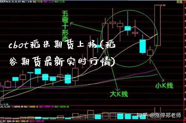 cbot稻米期货上扬(稻谷期货最新实时行情)